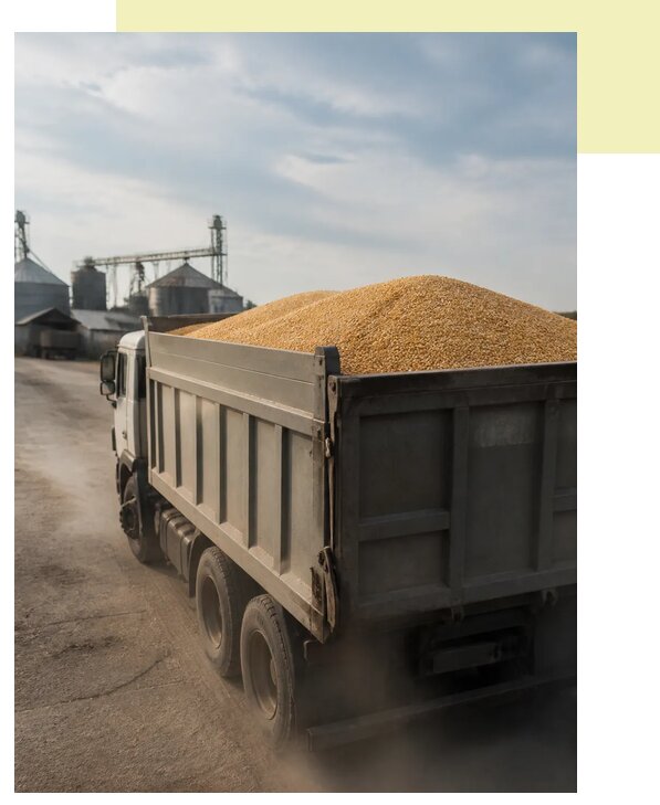 Перевозка сельхозпродукции навалом в Ухту по цене от 3038 р. | Агросервис-Хта